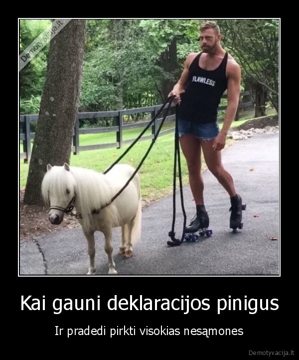 deklarcijos,vmi,pinigai,ponis