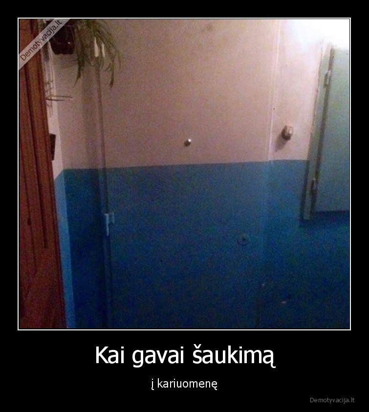 saukimas,kariuomene,kamufliazas