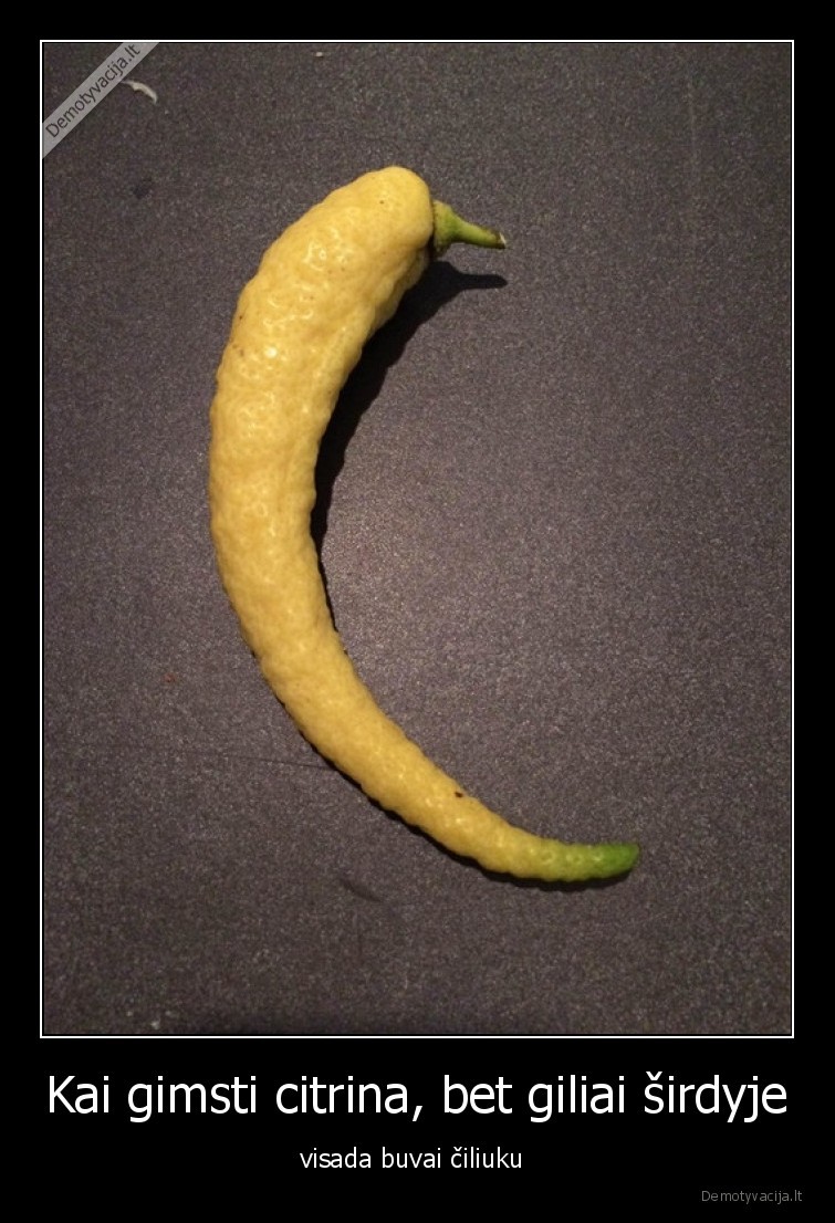 cili,citrina