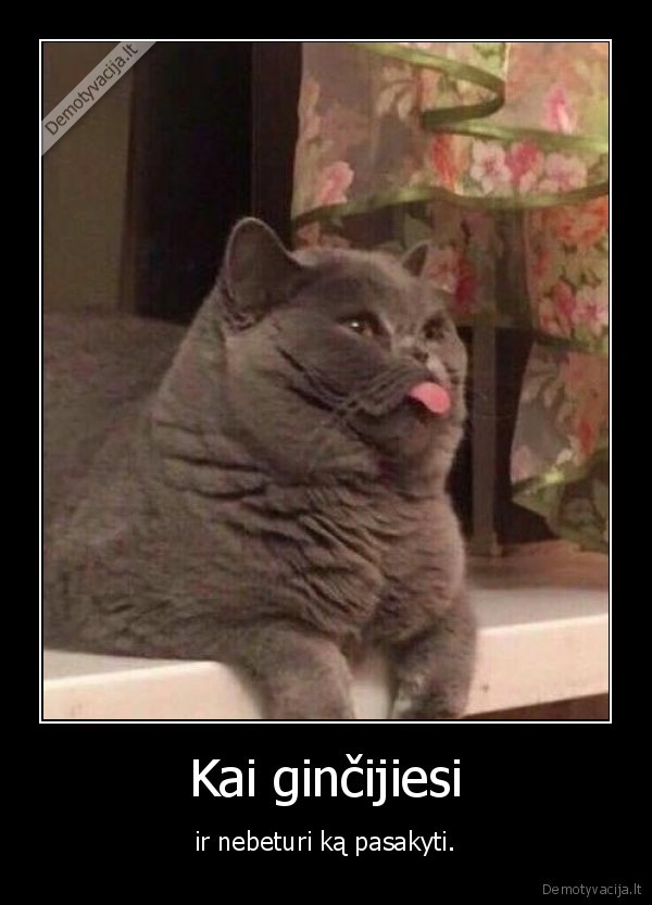 gincas,kate,katinas,liezuvis