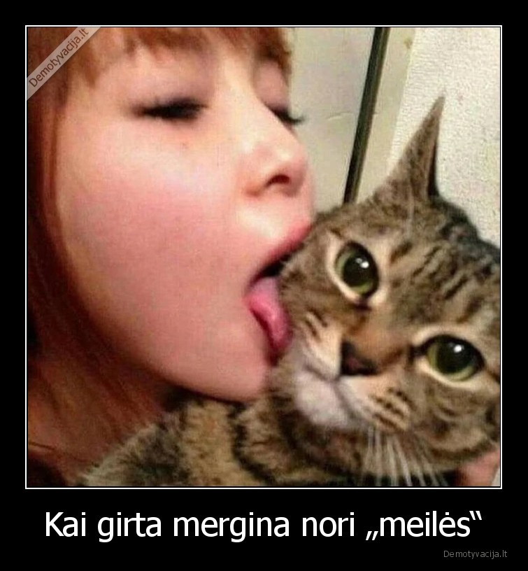 meile,katinas,girtumas