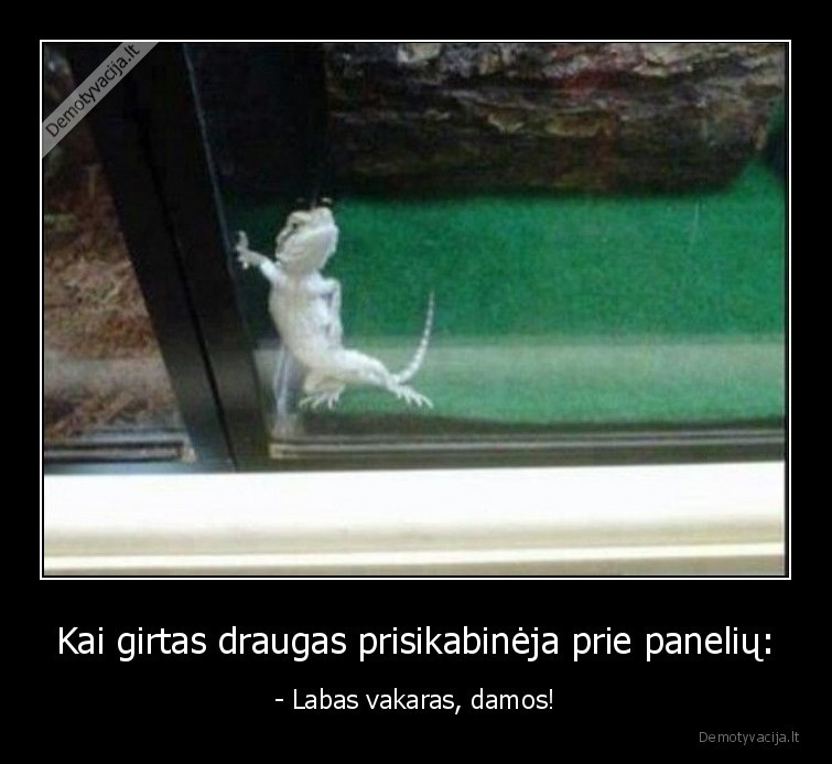 girtas,draugas,parodijos,alkoholis,merginos,priekabiautojas,girtas, draugas