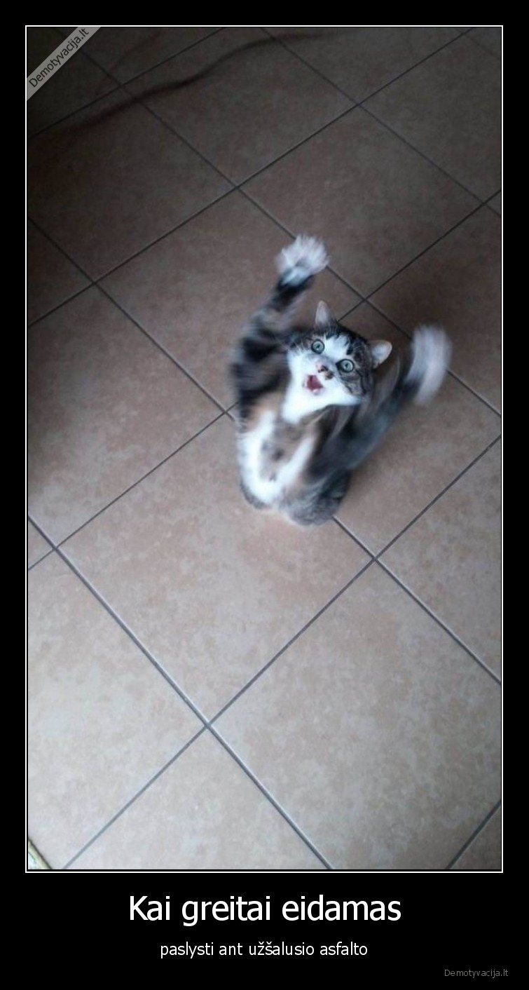 katinas,paslydo,slidu