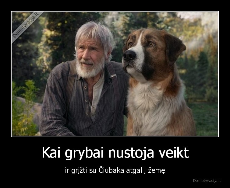 zeme,ciubaka,zvaigzdziu, karai,narkotikai