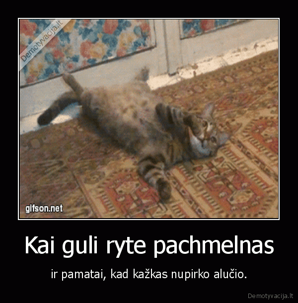 pachmelas,alus,kate,katinas