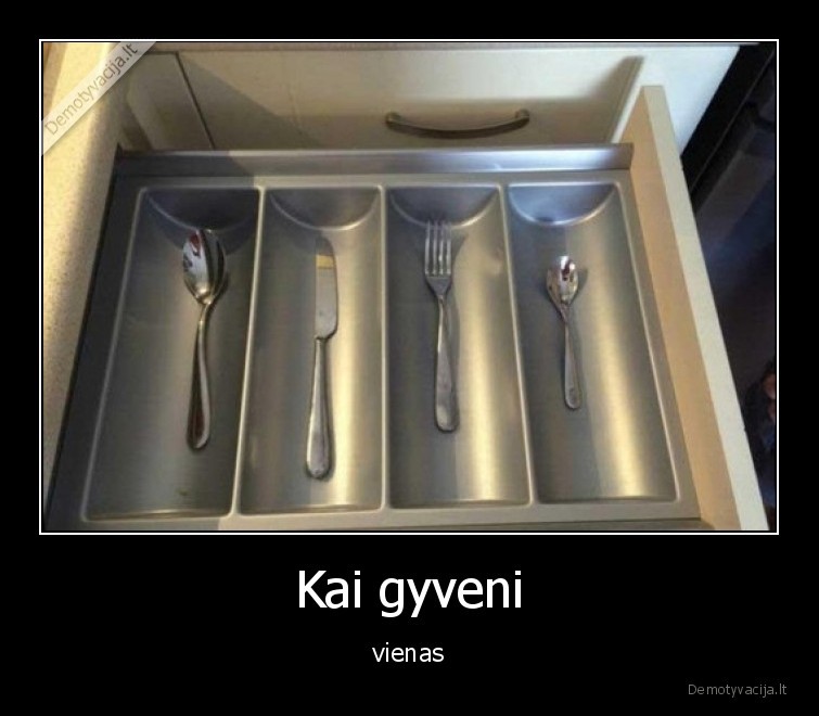 gyvenimas,gyventi,vienas,irankiai,virtuves