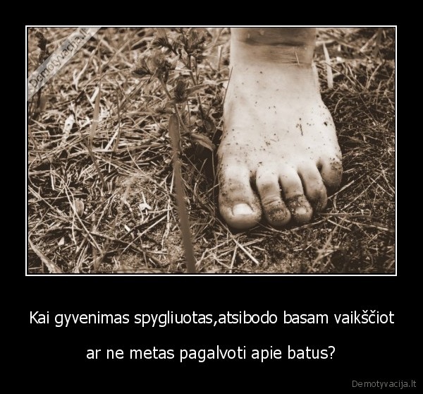 Kai gyvenimas spygliuotas,atsibodo basam vaikščiot