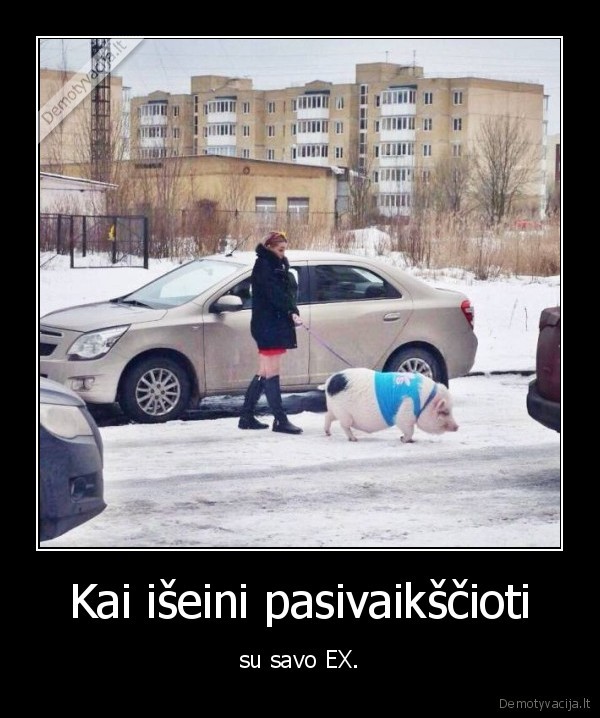 vaiksciojimas,ex,kiaule,sernas