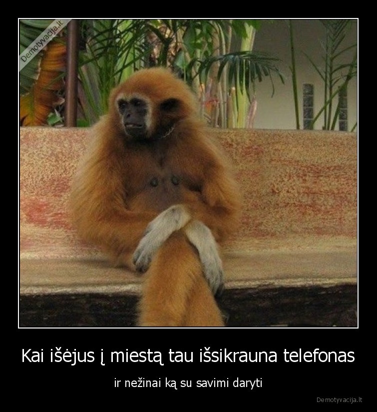 bezdzione,telefonas,ismanusis,issikrove,miestas