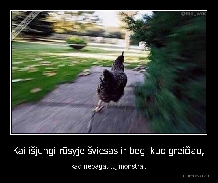 rusys,monstrai,sviesa,visciukas
