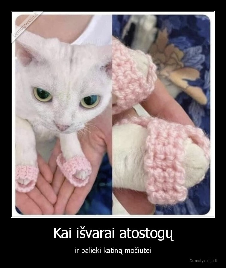 katinas,mociute,slepetes