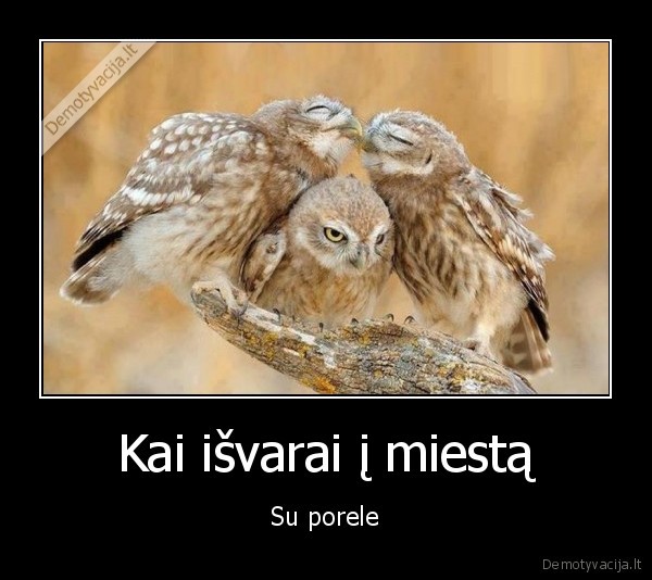 porele,meile,nejauku