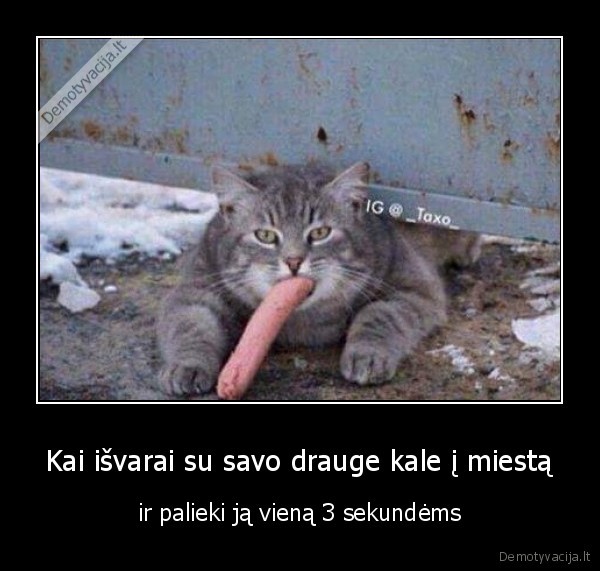 drauge,kale,mergina,miestas,desrele,kate