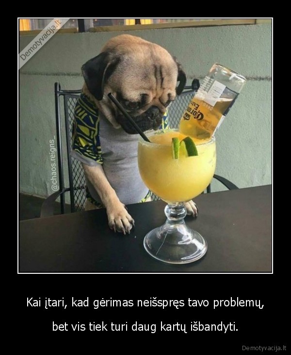 gerimas,alkoholis,problemos