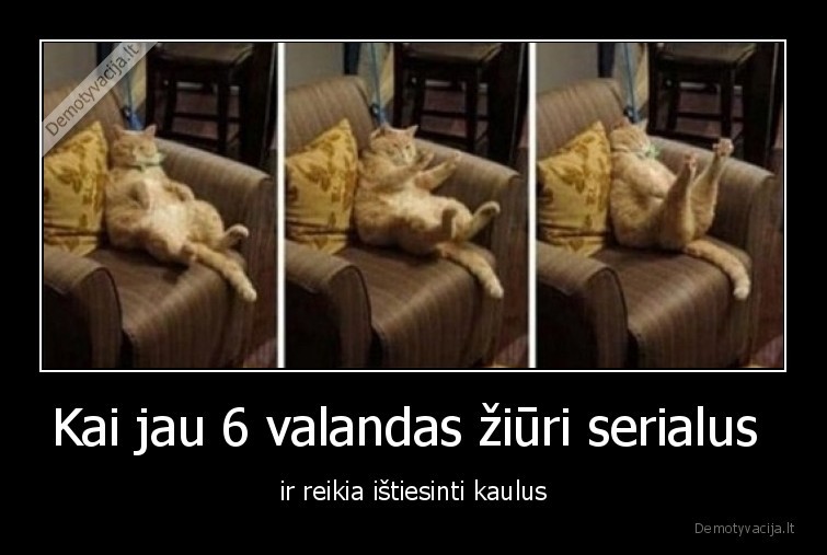 katinas,kaulai,serialas