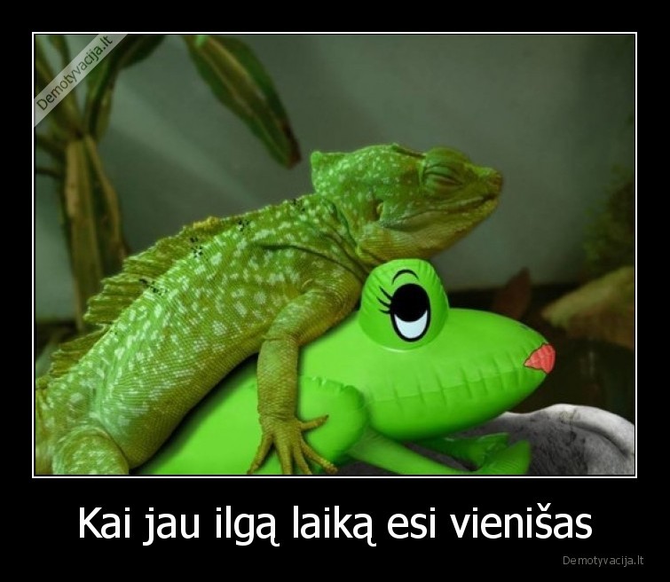 vienisas,pripuciama,chameleonas