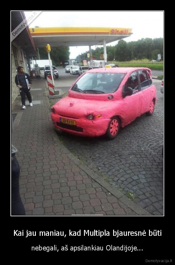 fiat, multipla,bjaurybe