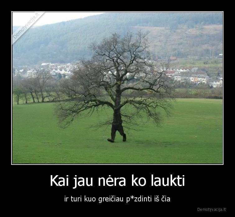 medis,ekologija,zeme