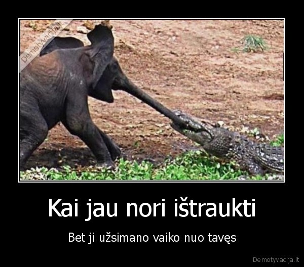 drambliukas,sekas,straubliukas