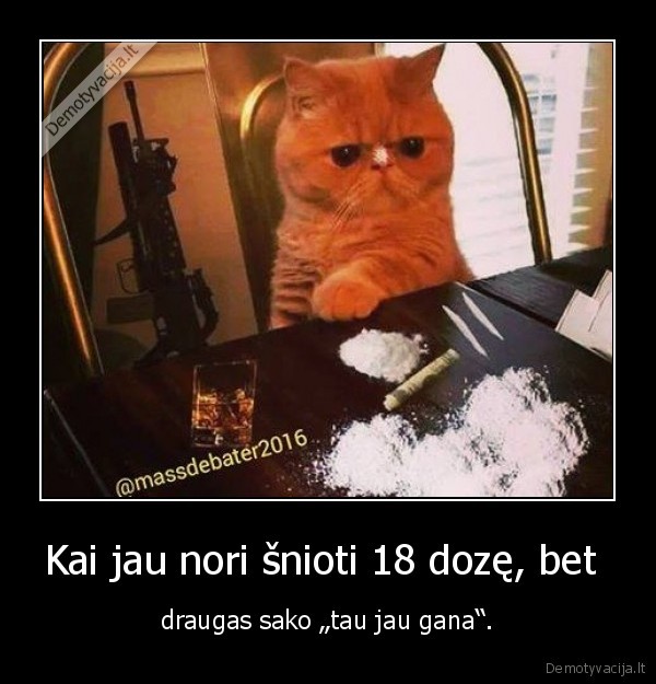 kate,katinas,kokainas,doze,narkotikai