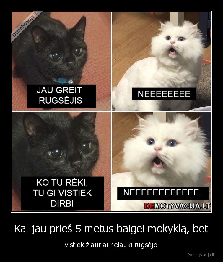 rugsejis,darbas,mokykla