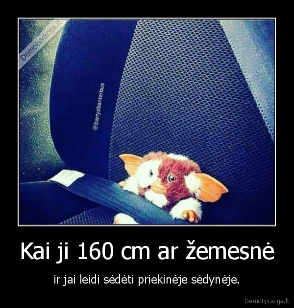 mergina,masina,sedyne