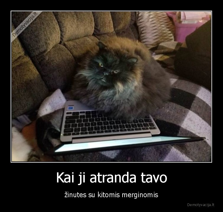 merginos,pavydas,santykiai,vyrai,moterys,socialiniai, tinklai