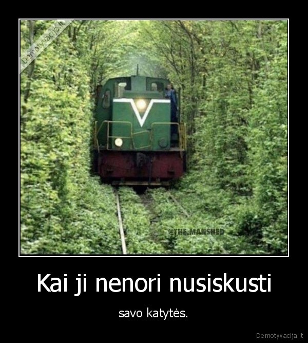 katyte,putka,truakinys,miskas,plaukai