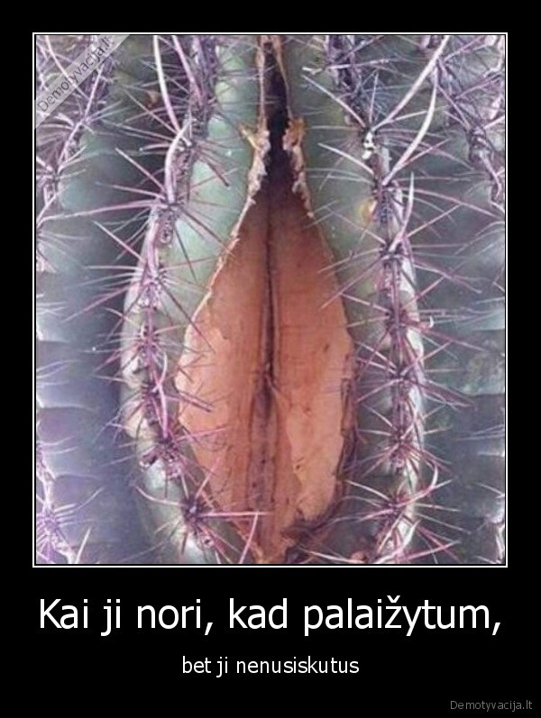 kunilingas,seksas,laizymas,kaktusas