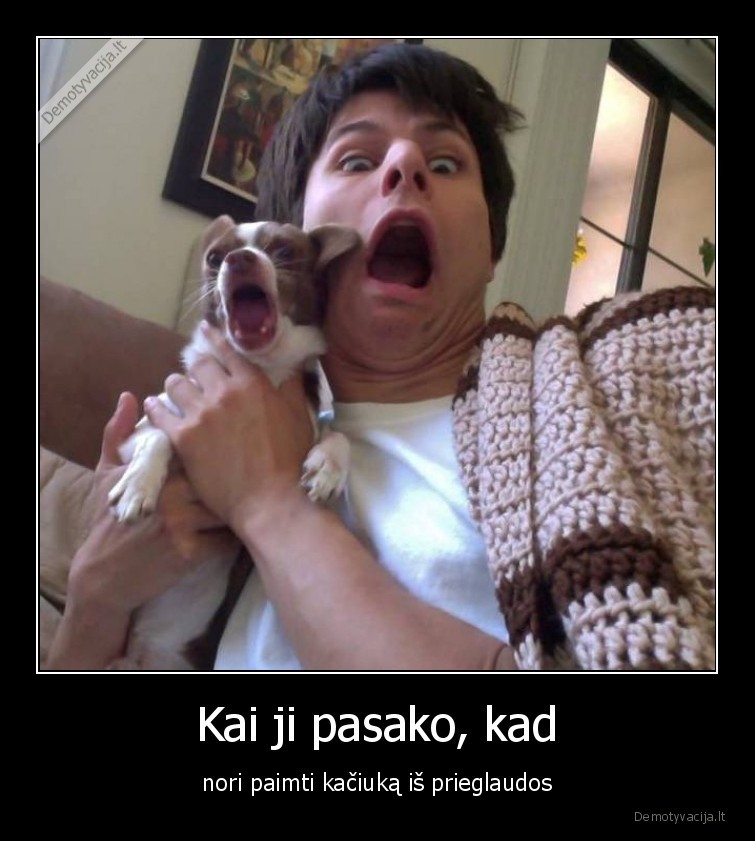 kaciukas,katinelis,suo,prieglauda,vaikinas