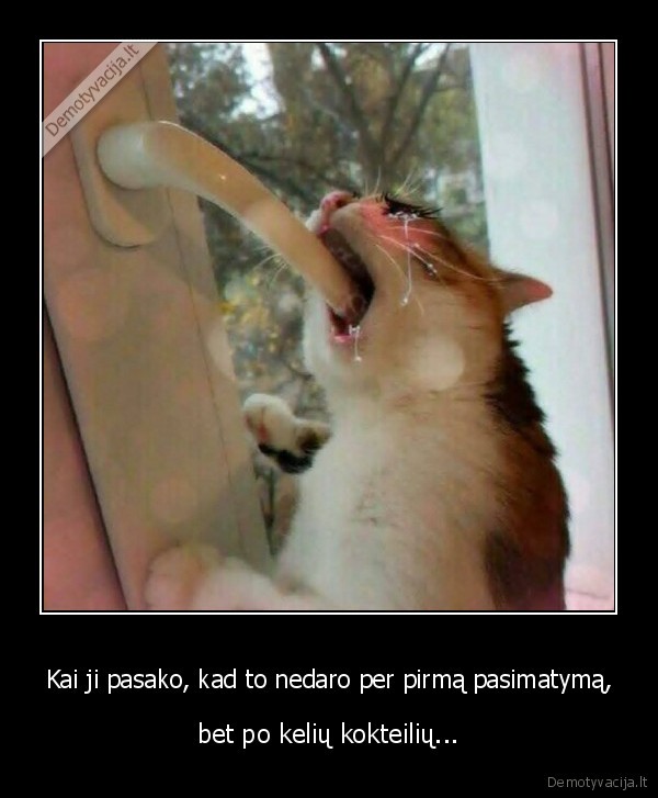 kate,mergina,blowjob