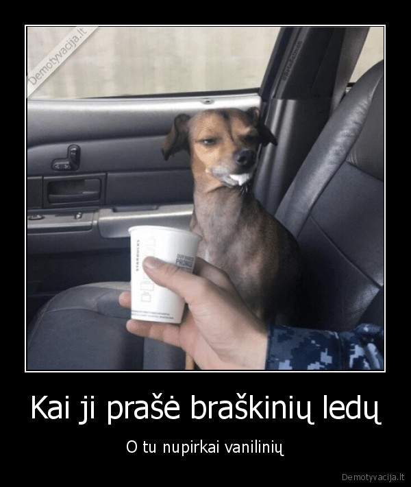 pikta, mergina,piktas, zvilgsnis