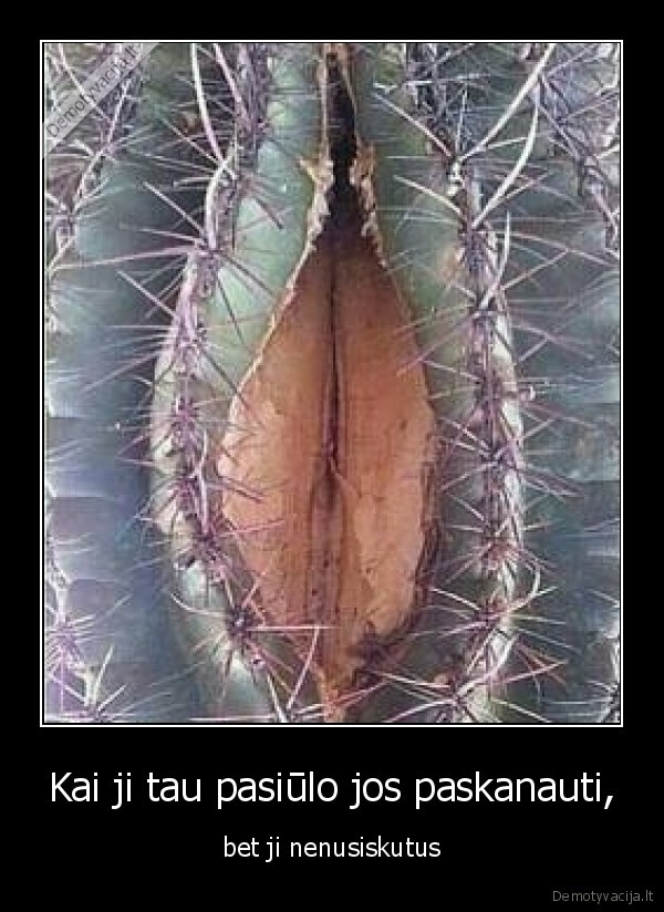 kaktusas,pussy,mergina,seksas