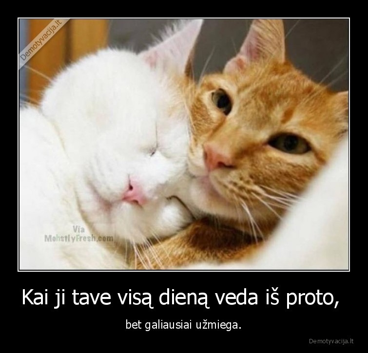 kate,katinas,mergina