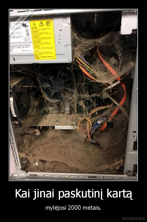 mergina,kompiuteris,dulkes,voratinkliai