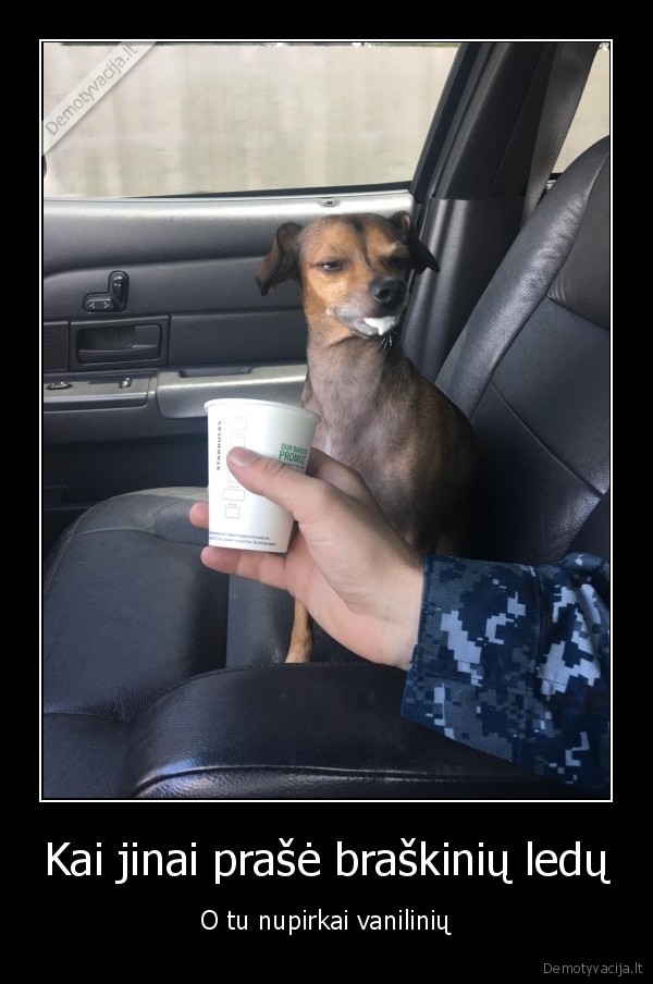 ledai,pikta, mergina