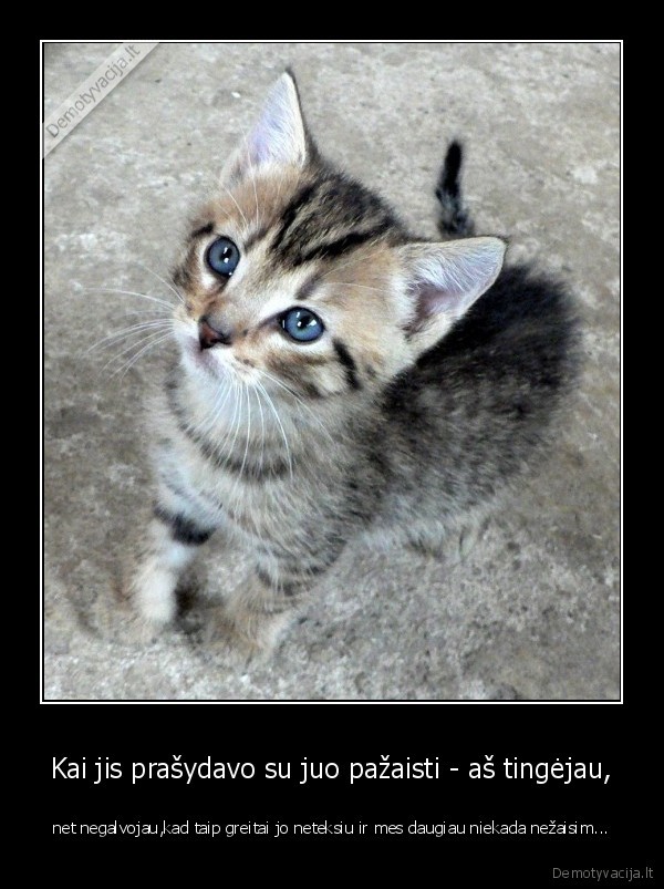 naminis, gyvunelis, laikas, mirtis, sielvartas