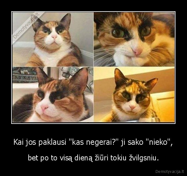 mergina,kate,katinas,negerai