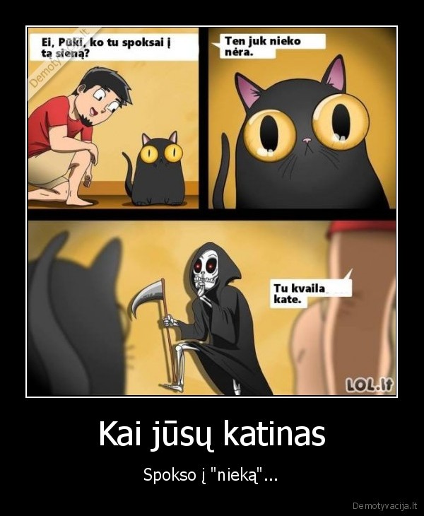 kate,mirtis,katinas