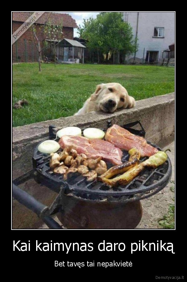 suo,mesa, ant, kepsnines