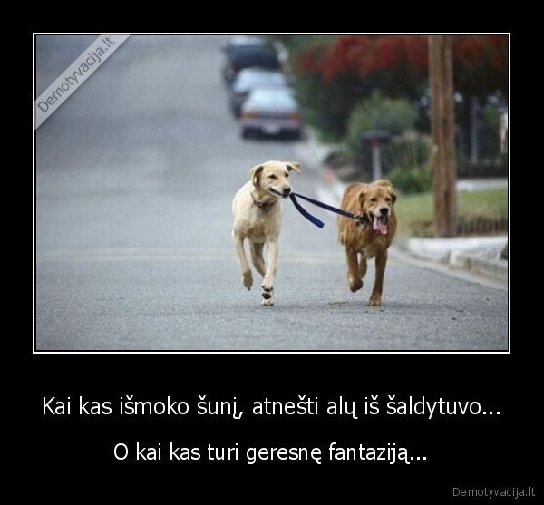 Kai kas išmoko šunį, atnešti alų iš šaldytuvo...