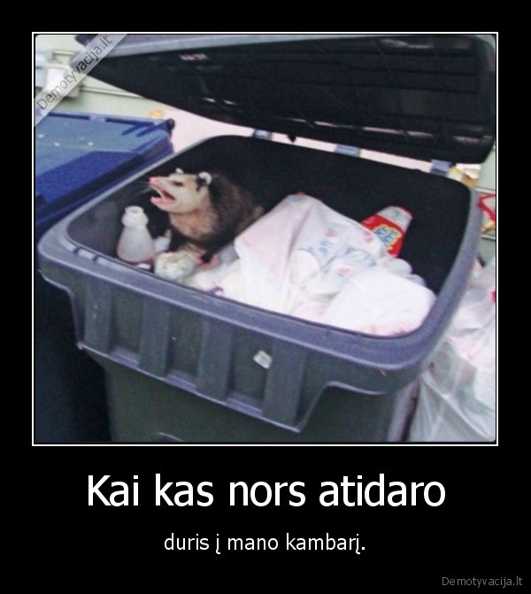 kamabrys,opusumas,konteineris,siuksles