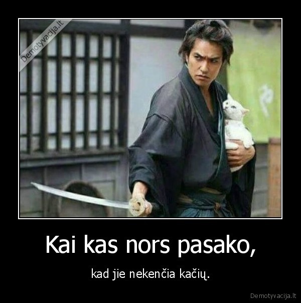 kate,katinas,meile,samurajus