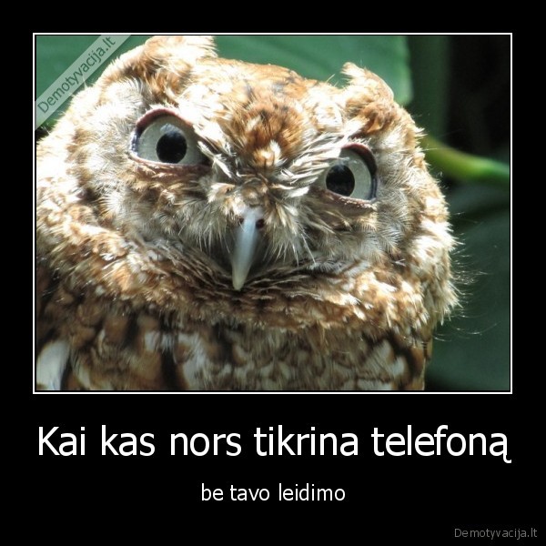 Kai kas nors tikrina telefoną