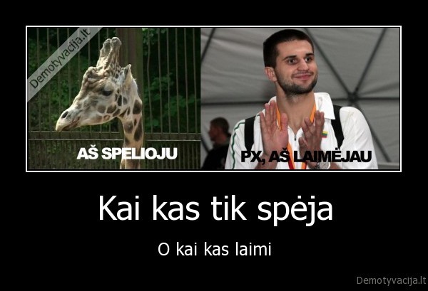 kleiza,gudrutis