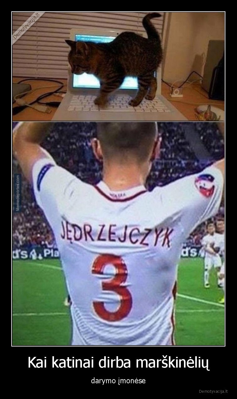 katinai,sportas,marskineliai,pavarde,kates,bajeriukai,parodijos