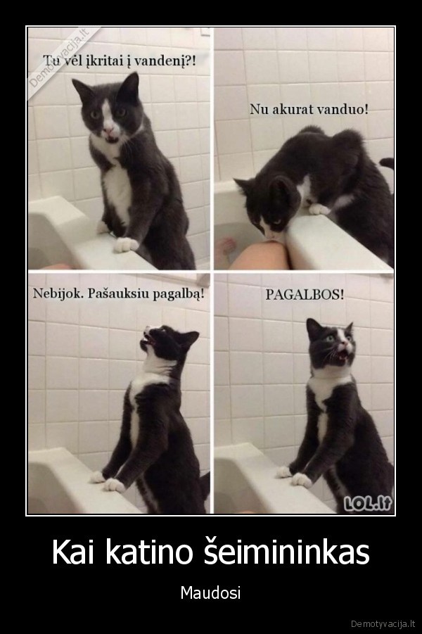 juokingas, katinas,maudosi, vonioje