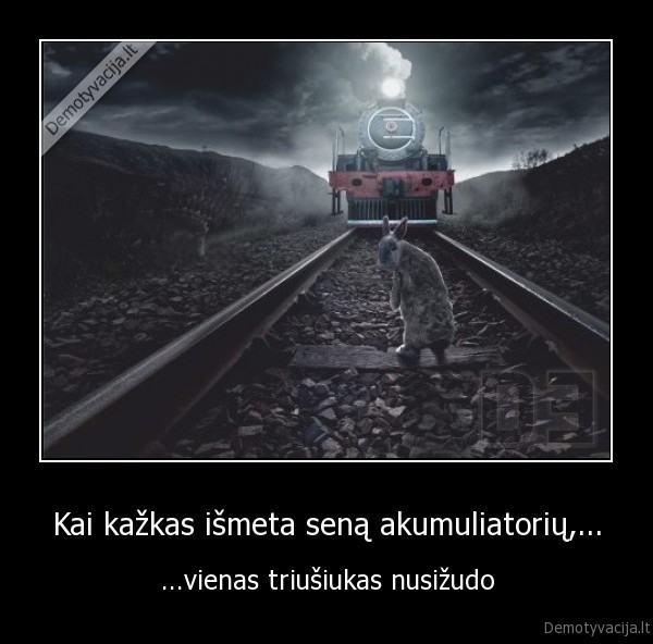 Kai kažkas išmeta seną akumuliatorių,...