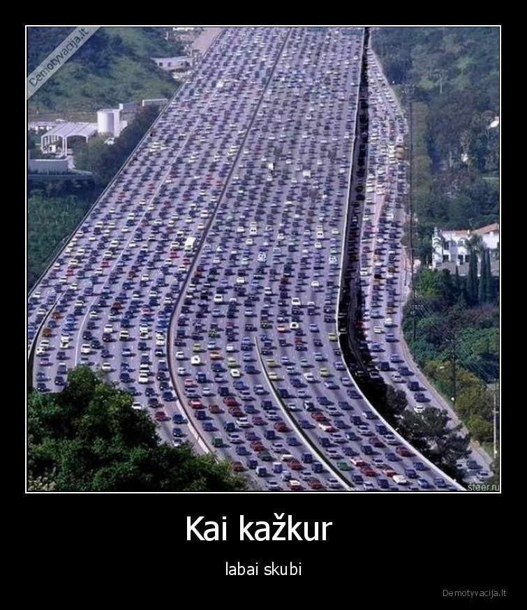 skubi,kamsciai,kaip,specialiai