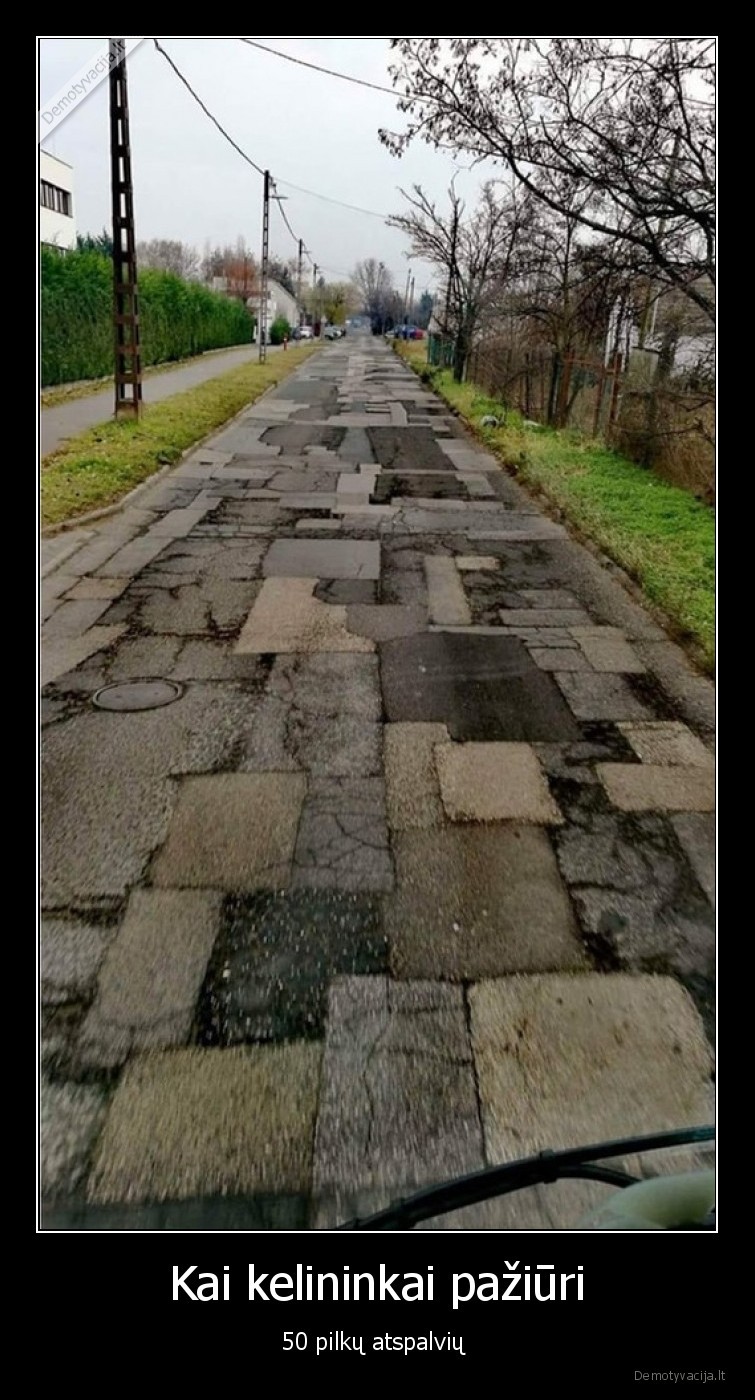 kelininkai,50,pilku,atspalviu